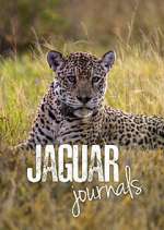 Watch Jaguar Journals Myflixer