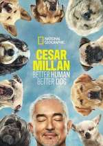 Watch Cesar Millan: Better Human Better Dog Myflixer