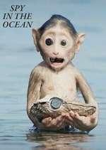 Watch Spy in the Ocean Myflixer