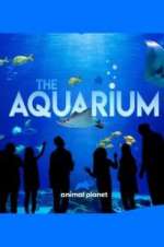 Watch The Aquarium Myflixer