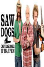 Watch Saw Dogs Myflixer