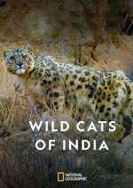 Watch Wild Cats of India Myflixer