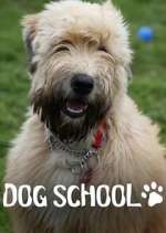 Watch Dog School Myflixer