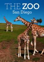 Watch The Zoo: San Diego Myflixer