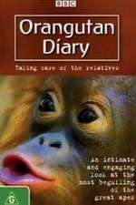 Watch Orangutan Diary Myflixer
