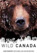 Watch Wild Canada Myflixer