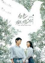 Watch The White Olive Tree Myflixer