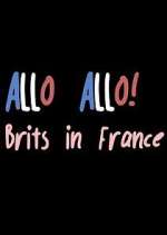 Watch Allo Allo! Brits in France Myflixer