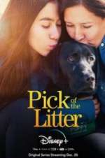 Watch Pick of the Litter Myflixer