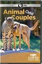Watch Animal Odd Couples Myflixer