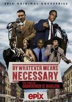 Watch By Whatever Means Necessary: The Times of Godfather of Harlem Myflixer