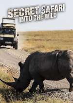 Watch Secret Safari: Into the Wild Myflixer