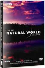 Watch The Natural World Myflixer