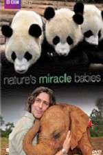 Watch Natures Miracle Babies Myflixer