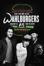 Watch Wahlburgers Myflixer