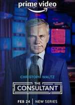 Watch The Consultant Myflixer