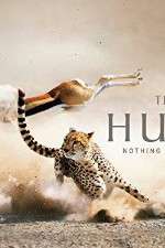 Watch The Hunt Myflixer