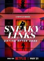 Watch Sneaky Links: Dating After Dark Myflixer