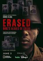Watch Erased: WW2's Heroes of Color Myflixer