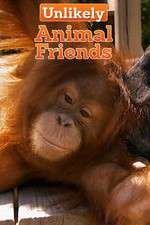 Watch Unlikely Animal Friends Myflixer