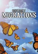 Watch Secret Migrations Myflixer