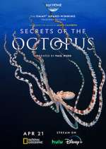 Watch Secrets of the Octopus Myflixer