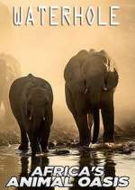 Watch Waterhole: Africa's Animal Oasis Myflixer