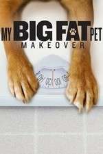 Watch My Big Fat Pet Makeover Myflixer