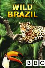 Watch Wild Brazil Myflixer