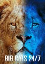 Watch Big Cats 24/7 Myflixer