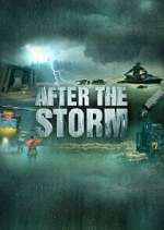 Watch After the Storm Myflixer