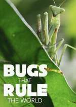 Watch Bugs that Rule the World Myflixer
