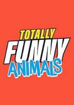 Watch Totally Funny Animals Myflixer