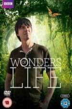 Watch Wonders Of Life Myflixer