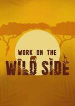 Watch Work on the Wild Side Myflixer