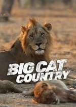 Watch Big Cat Country Myflixer