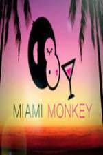 Watch Miami Monkey Myflixer
