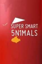 Watch Super Smart Animals Myflixer
