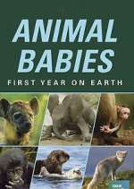 Watch Animal Babies: First Year on Earth Myflixer