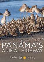 Watch Panama's Animal Highway Myflixer