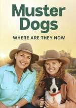 Watch Muster Dogs: Where Are They Now? Myflixer