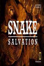Watch Snake Salvation Myflixer