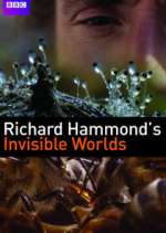 Watch Richard Hammond's Invisible Worlds Myflixer