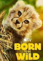 Watch Born to Be Wild Myflixer