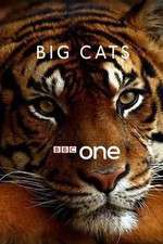 Watch Big Cats Myflixer