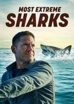 Watch Most Extreme Sharks Myflixer