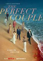 Watch The Perfect Couple Myflixer