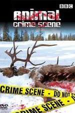 Watch Animal Crime Scene Myflixer
