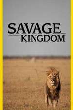 Watch Savage Kingdom Myflixer