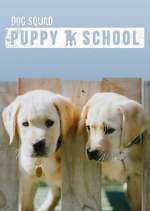 Watch Dog Squad: Puppy School Myflixer